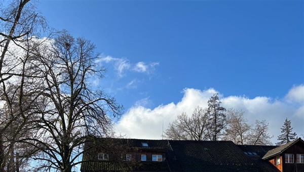 Kikeriki, Zufahrt zum Hof Kafi wieder frei...