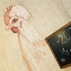 Gack‑gack und ein letztes Flügelschlagen fürs 2025!