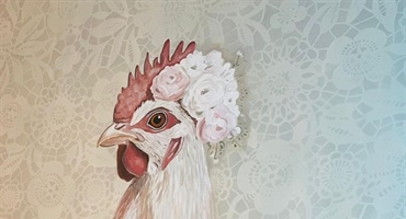 Hof Kafi Huhn sucht Verstärkung!