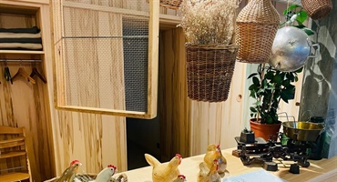 Neue Hühnchen im Anflug – nur kurz zu Besuch